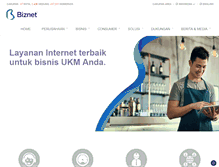 Tablet Screenshot of biznetnetworks.com